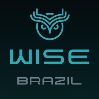Логотип @wisebrazil - WiseBrazil