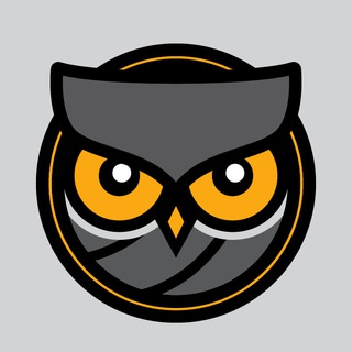 Логотип @wisedota - Dota 2 Аналитик © Wise