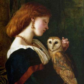 Логотип @wiseoldowl - Записки мудрой совы