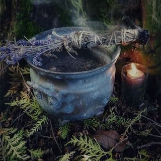 Логотип @witch_of_the_forest - Лісова відьма