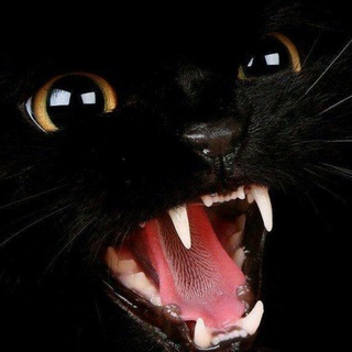 Логотип @witchitgood - EN EREBOS PHOS