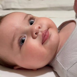 Логотип @with1ovez - 𝐙 🦢