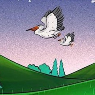 Логотип @with_pelican - 🐦 По дороге с Пеликаном. Познавательные прогулки по Черногории