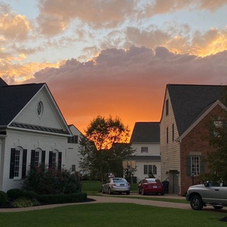 Логотип @withalyona - на пути в Америку