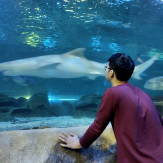 Логотип @witherkhstudy - WITH_ERKHSTUDY/АҒЫЛШЫН ТІЛІ