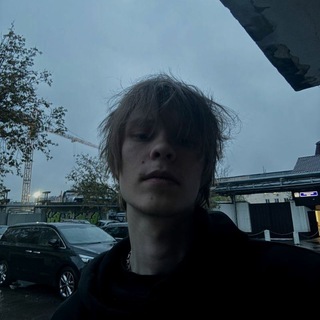 Логотип @wittrixs - ну да, витрикс и вилси 👾