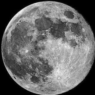 Логотип @wixiledd - бс от wixilad🦇