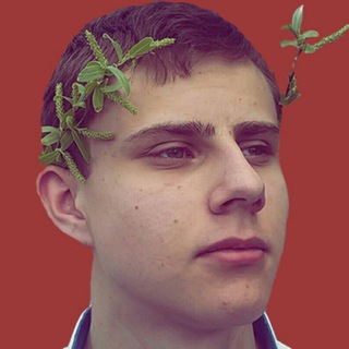 Логотип @wizer02 - Wizer👿