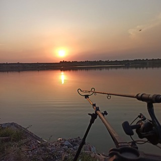 Логотип @wkduz - Wkd.uz