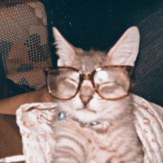 Логотип @wlddiary - ✶ ₊ и всё-таки я верю . °