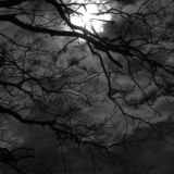 Логотип @wlqdi1 - хз