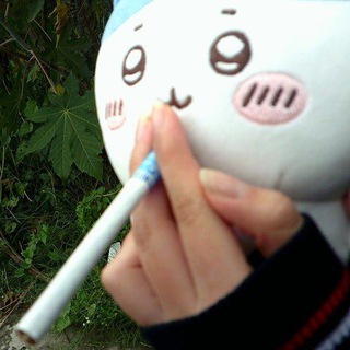 Логотип @wndezz1 - сырник рест