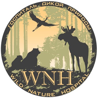 Логотип @wnhospital - Госпиталь Дикой Природы