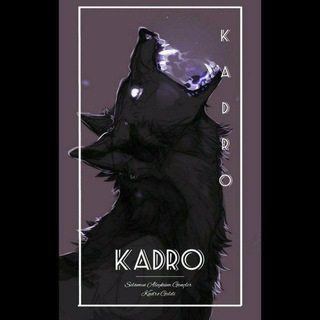Логотип @wnsohbet - KADRO