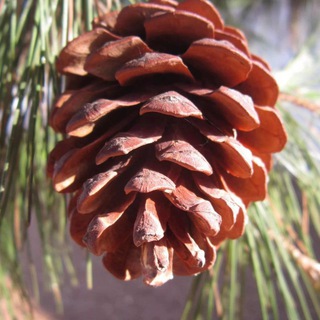 Логотип @wo_gamers - Геймерс