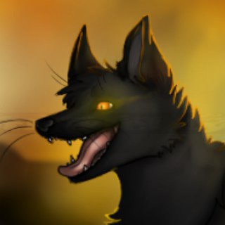 Логотип @wolfchannel - The wolf channel 🐺