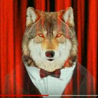 Логотип @wolfegola - WOLFE GOLA