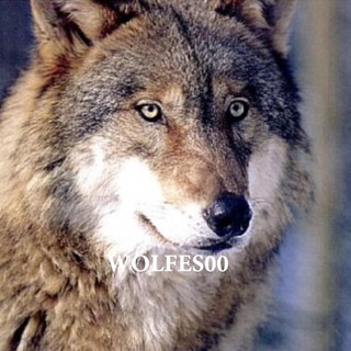 Логотип @wolfes00 - Wolfes00