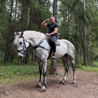 Логотип @wolffshow - Wolf 🐺