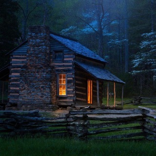 Логотип @wolfkabachok - ForesTavern