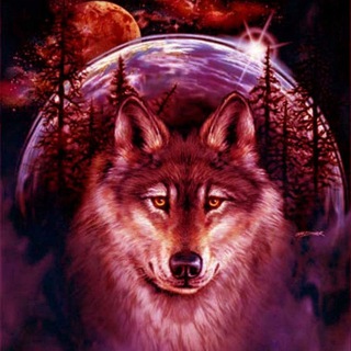 Логотип @wolfmarketz - Trader market-wolf🐺