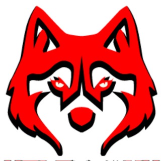 Логотип @wolfmax4k - WolfMax4K