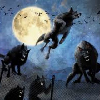 Логотип @wolfmoongroup - Wolfmoon🌗🐺