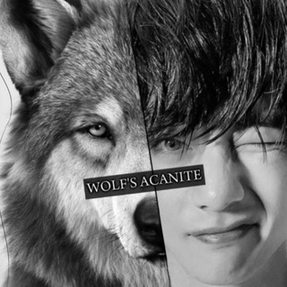 Логотип @wolfsacanite - WOLF'S ACANITE.ЗАКРЫТО
