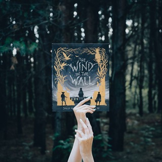 Логотип @wolftalesbook - Wolf.tales.book | Блог о фэнтези и иллюстрированных книгах