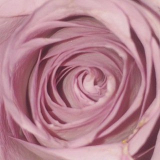 Логотип @womans_art - Женское Искусство