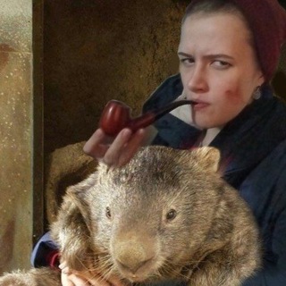 Логотип @wombo_sapiens - Посиделки с вомбатом и Алиной