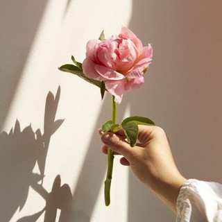 Логотип @women_samorazvitie - Бьюти▪️Эстетика▪️Вдохновение