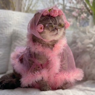 Логотип @womensabode - Бьюти Блажь