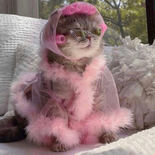 Логотип @womensabodechat - Бьюти блажь