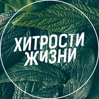 Логотип @womn_sekr - Хитрости жизни