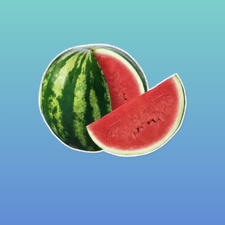 Логотип @wonderpromo - Арбузная команда