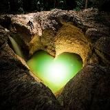 Логотип @wonderworld_ww - WonderWorld🌏