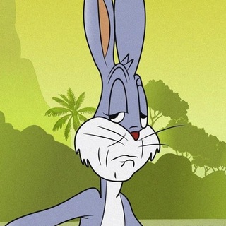 Логотип @wonkanews - STAVKI STAVOCHKI