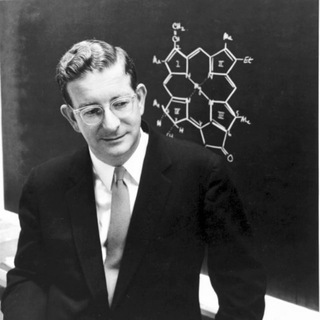 Логотип @woodward_chl - Хлорофиллы Вудворда