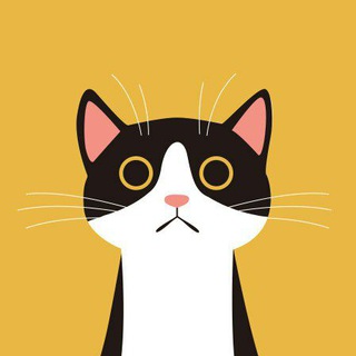 Логотип @woolballs - Котики | Cats