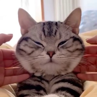 Логотип @woolenki - шерстяные валенки