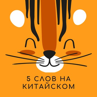 Логотип @words5_chinese - 5 слов на китайском