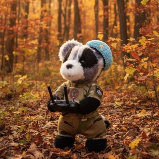 Логотип @world_off_happy_kids - Пушистый остров