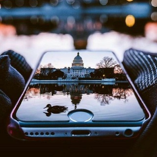 Логотип @worldinthephone - Ставки| Путь к миллиону ебучих долларов ебать нахуй