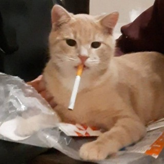 Логотип @worldmems - world of memes