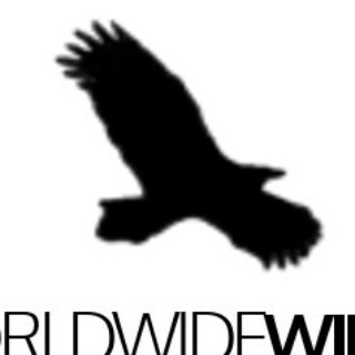 Логотип @worldwidewingsde - worldwidewings