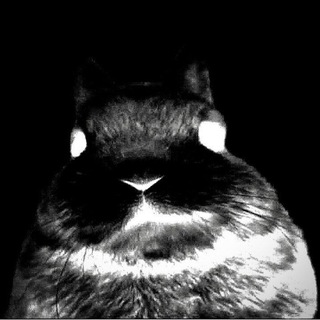 Логотип @worstmother2010 - ХУДШАNА МАТ6
