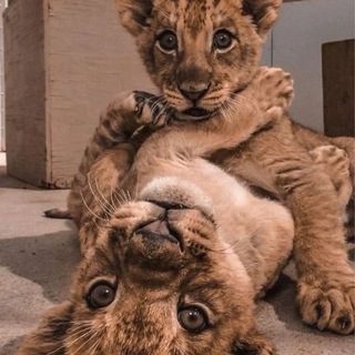 Логотип @worthy_21 - worthy21