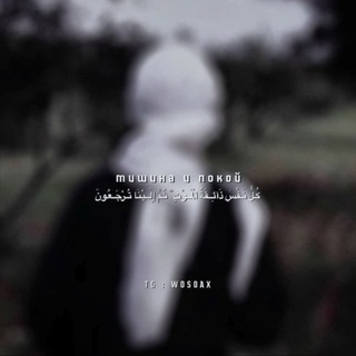 Логотип @wosoax - 𐍪ⲟ᥉ⲟⲁⲭ ོ 🕷