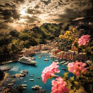 Логотип @wow_tm - WOW